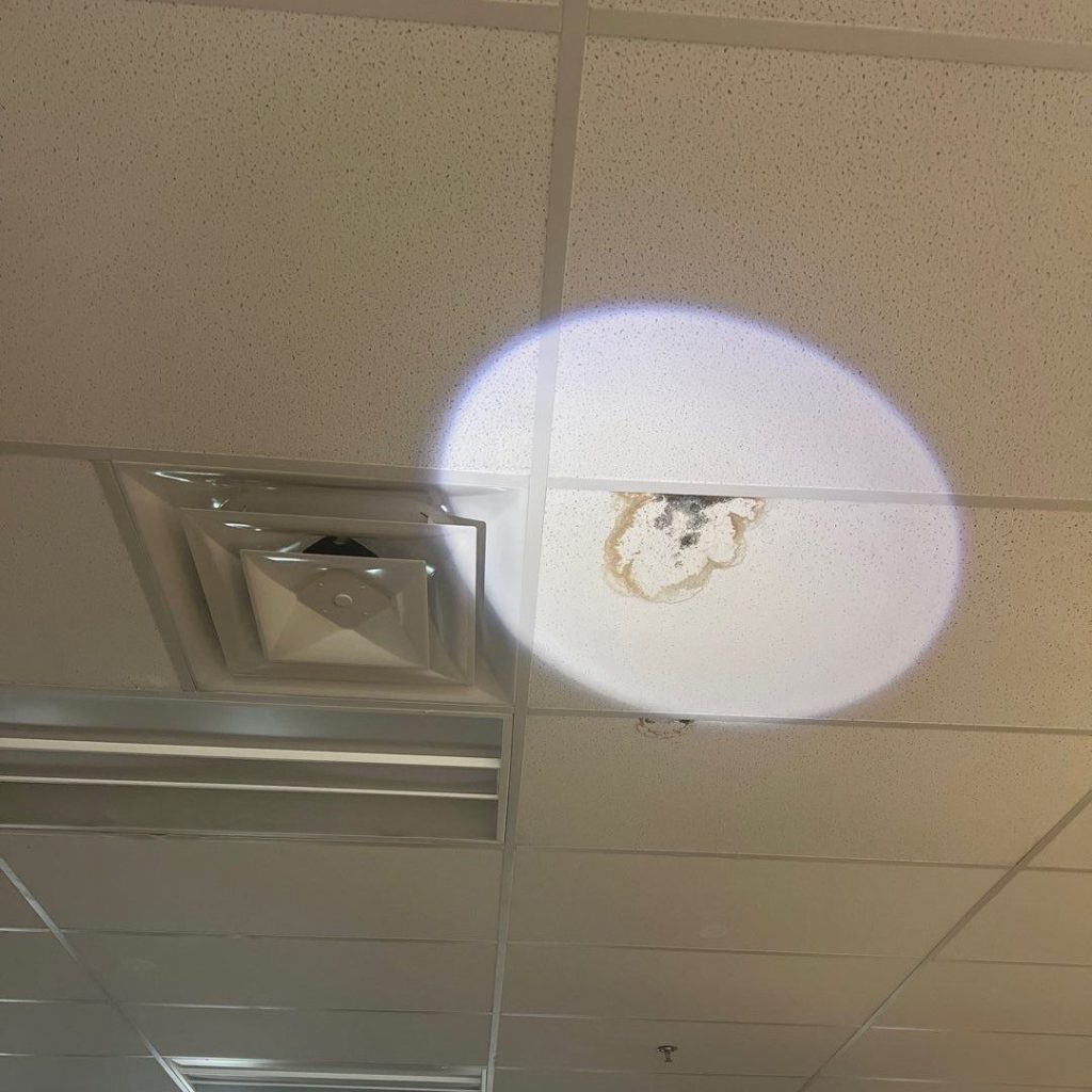 Ceiling Tile Leak Stain